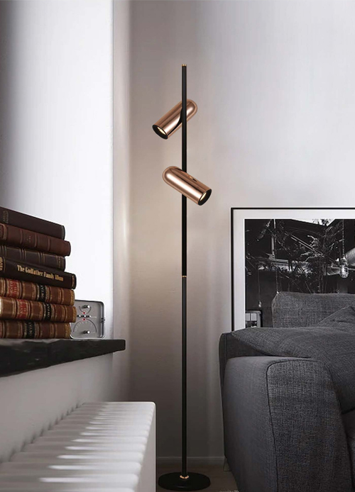 FL16001-2# Led Floor Lamp/Standing Light/Ajustable Floor Lamp