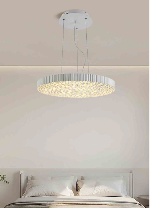 PL13161-# Led Pedant Light/Indoor Decorative Light/Led Lights