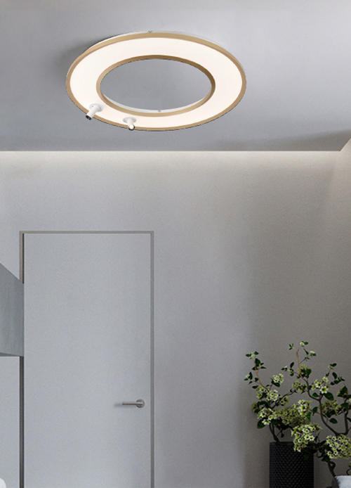 Full Spectrum LED Ceiling Light with Dome Accent | CL16017 Series