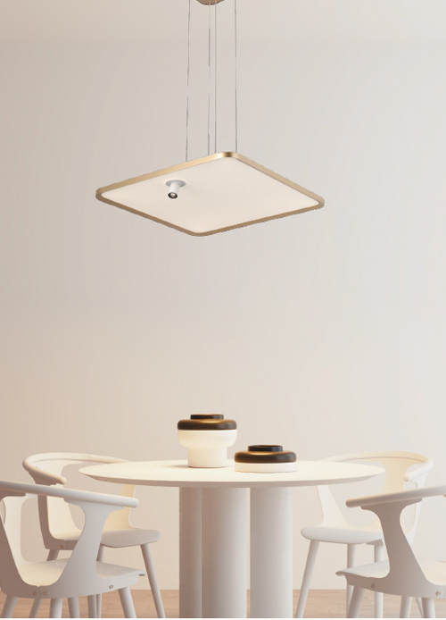 Full Spectrum Square Pendant Light with Mini Spotlight | PL16017 Series